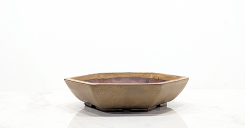 Topaz hexagon 20cm dish - 20cm,