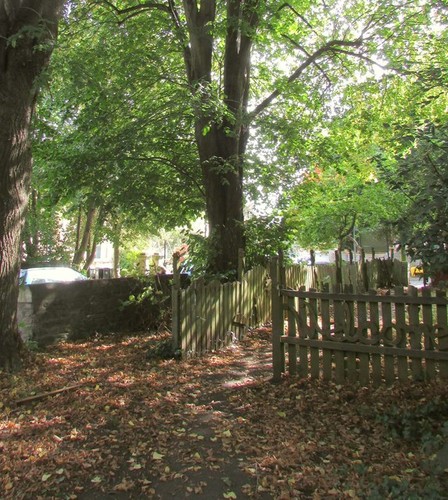 Photo 6x4 path near elmgrove - 6x4,