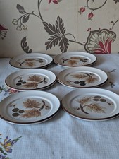 denby cotswold tea plates X