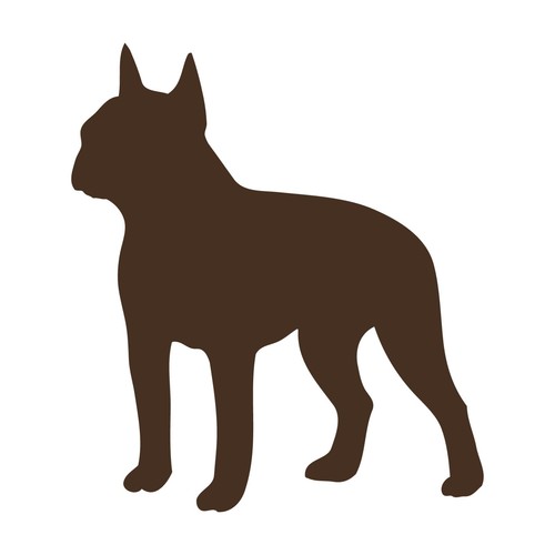 Boston terrier vinyl decal - boston, car