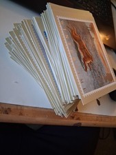 Around 155 Unused Royal Mail Postcards Joblot, Free Postage