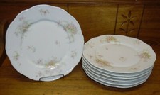 7 Theodore Haviland Porcelain