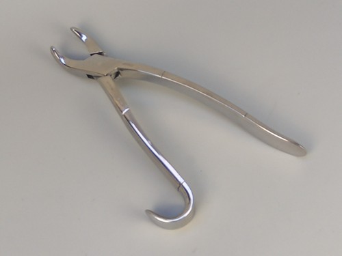 Equine dental forceps - forceps, tooth