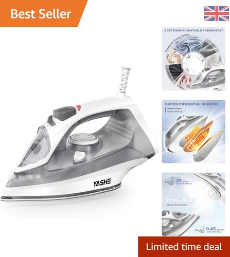 Professional 2300w steam iron - steam,