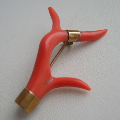 Victorian salmon coral - victorian, branch