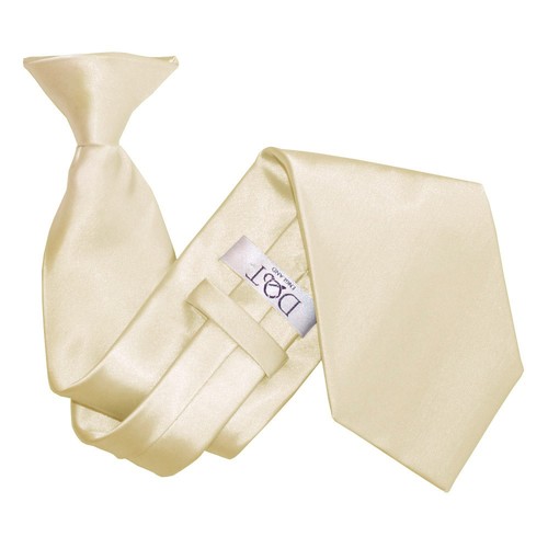 Champagne clip tie - clip,