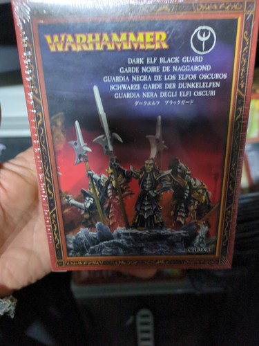 Warhammer dark elf black guard - dark,