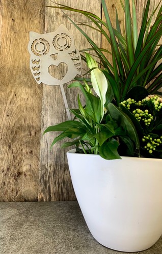 Owl bird plant pot - pot, stake