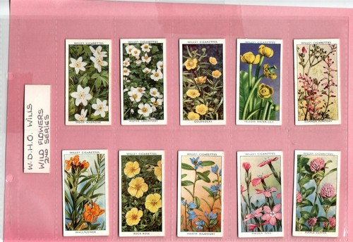 Wills wild flowers - flowers, (adhesive)