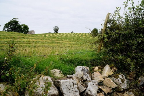 Photo 6x4 carony townland - carony,