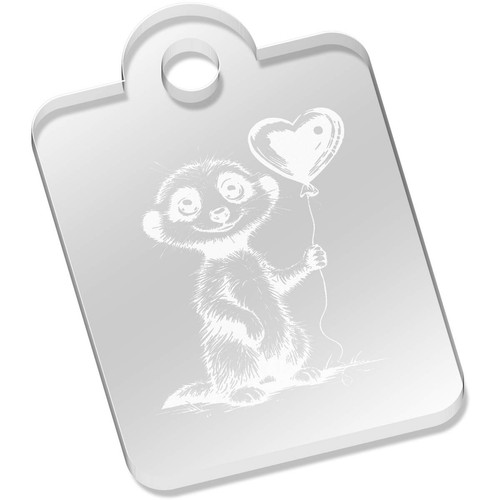 Meerkat with balloon acrylic - 'meerkat,