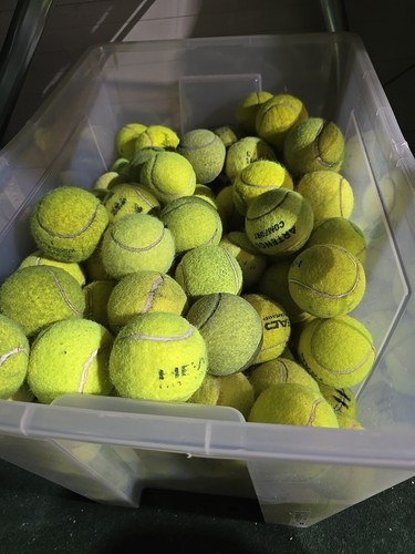Used tennis balls - 30,
