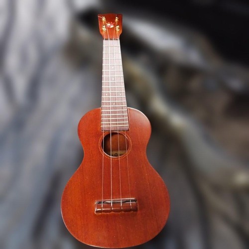 Luna ukulele with hard - ukulele,