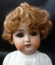 8"   / 20cm  DOLL WIG FOR