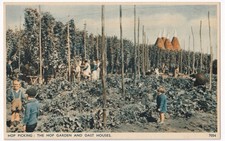 UK Vintage Hop Picking