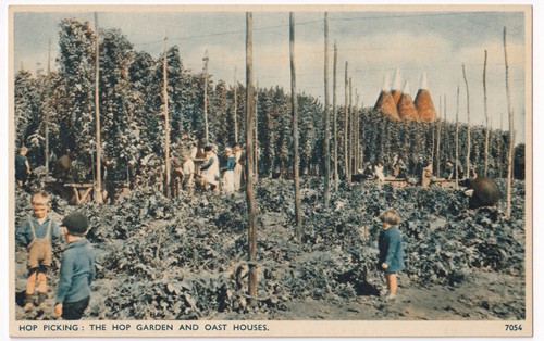Vintage hop picking - vintage,