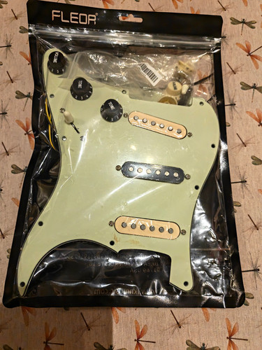 Loaded pickguard backplate - loaded, &