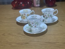 Elizabethan Tea Cup and Saucer