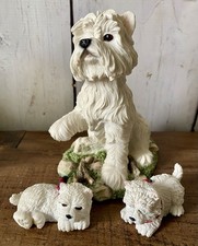 West Highland Terrier