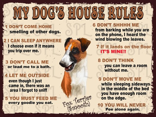 Dog house rules fox - dog's,