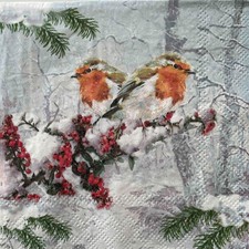 2 x cocktail paper napkins for