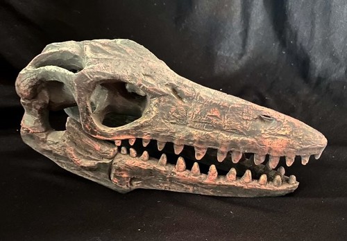 Spinosaurus skull 16cm - skull,