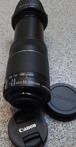 Canon 250mm 4 5 - ef-s, is