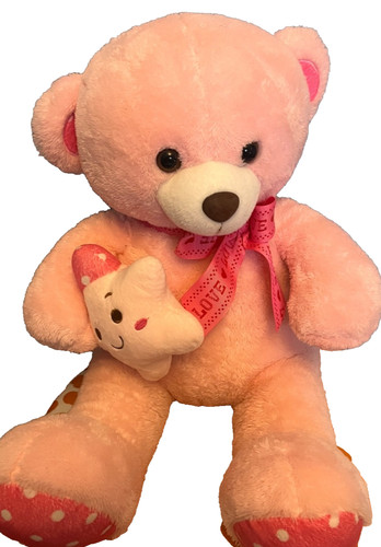Pink teddy bear - bear, toy