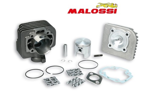 Malossi thermal group in - malossi, 47