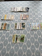 Brooke Bond & PG Tips Tea