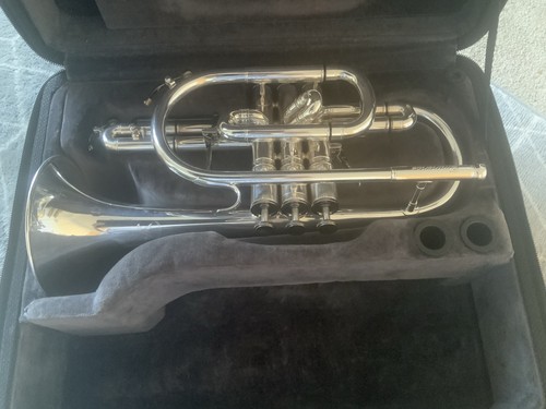York eminence cornet - eminence,