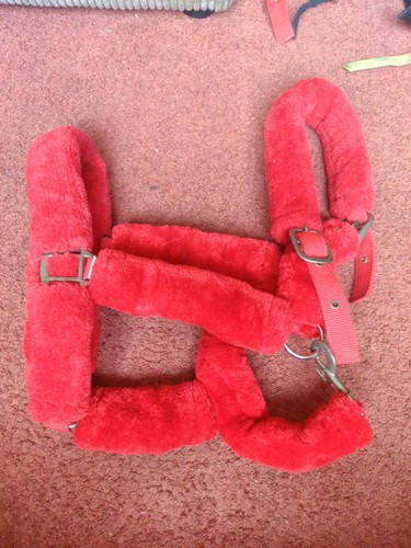 Full size horse head collar - size,