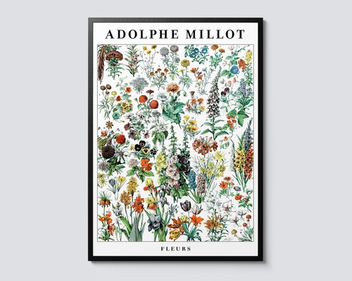 Flowers adolphe millot - flowers,