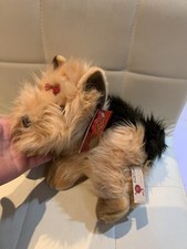 Sasha The YORKSHIRE TERRIER