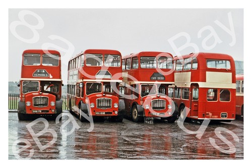 Bus photograph alexander fife - bus,