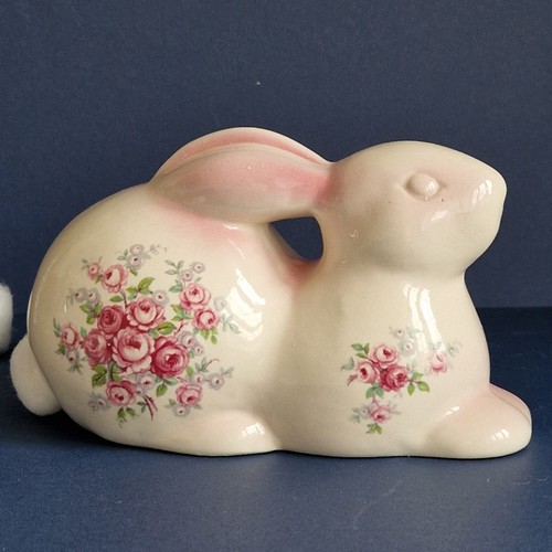 Cotton tail adorable - "cotton, tail"