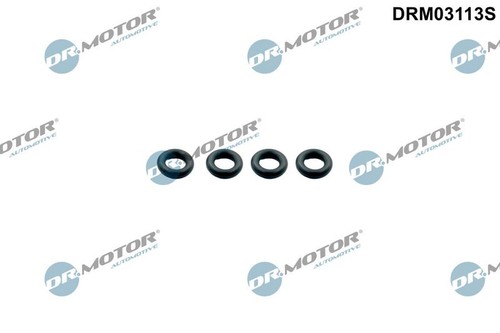 Fits motor drm03113s - fits,