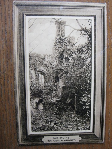 Old ruins osyth priory - ruins,,