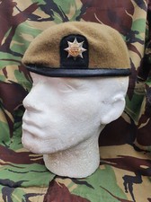 Royal Anglian Regiment Small