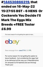 6 HENS  Or Cockerels You