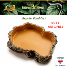Reptile Vivarium Food Dish