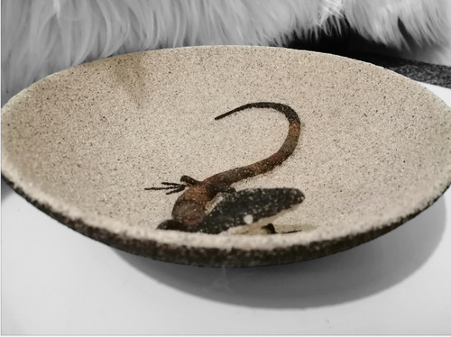 Vintage art display - art, bowl