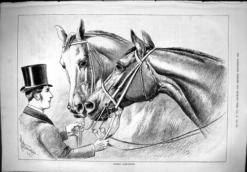 Original old antique print - original,
