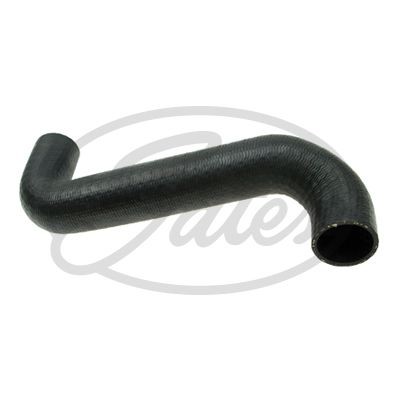 Radiator hose for mercedes - for,
