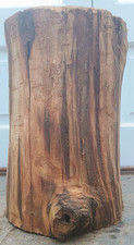 Natural log table, tree stump