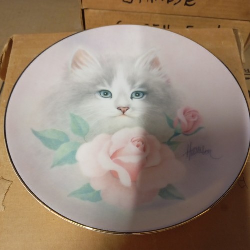 Blushing beauties cat plate - cat,
