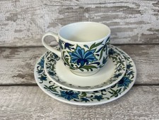 Midwinter Spanish Garden Trio