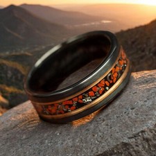 Dinosaur Bone & Meteorite