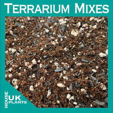 TERRARIUM Compost Soil (Bio