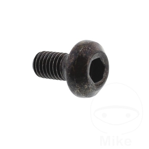 Brake disc bolt x 16mm - brake,